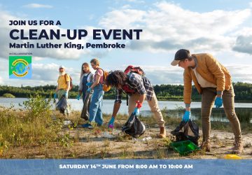 2-cleanup-event-visual