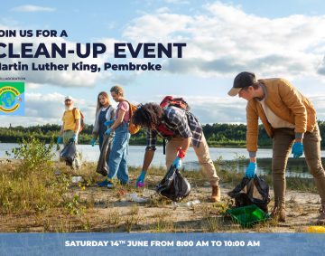 2-cleanup-event-visual